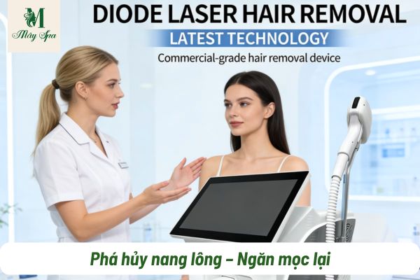 c&ocirc;ng nghệ diode laser triệt l&ocirc;ng